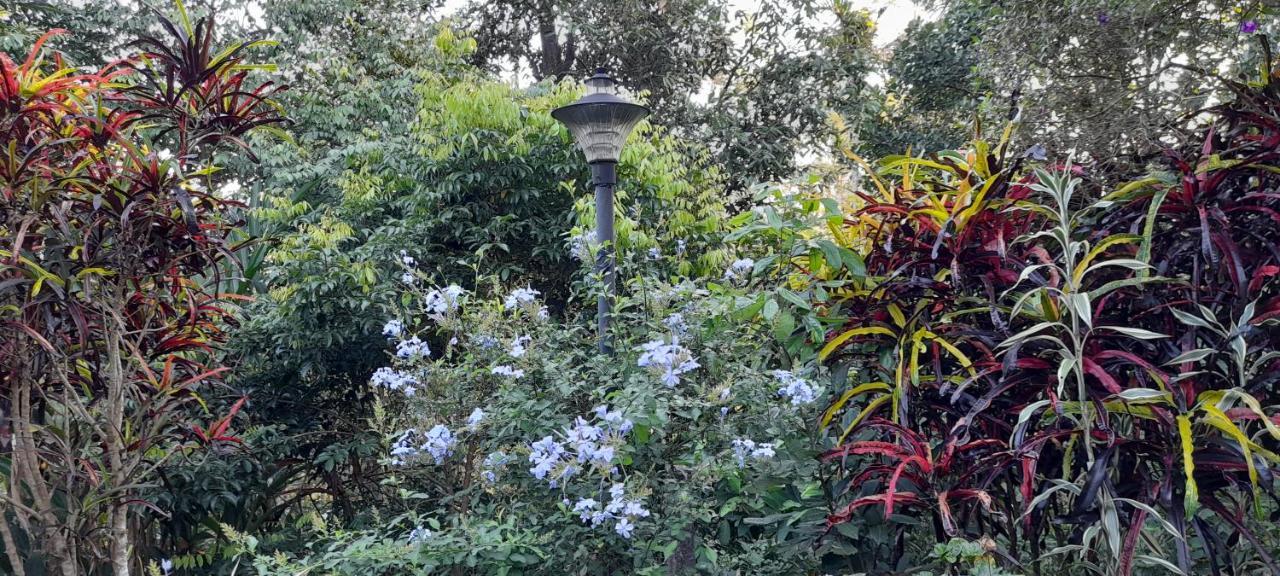 Le Farmhouse Munnar Anachal Exterior photo